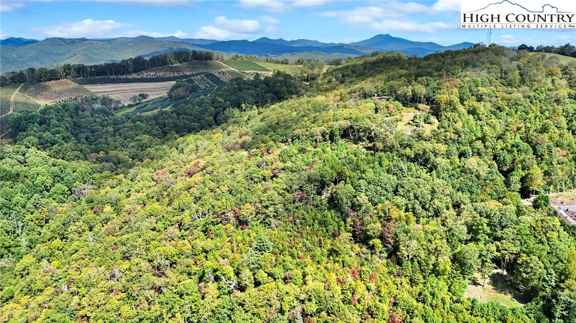 Lot 10 Mountain Laurel Parkway