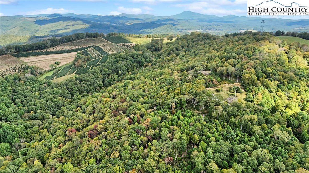 Lot 10 Mountain Laurel Parkway