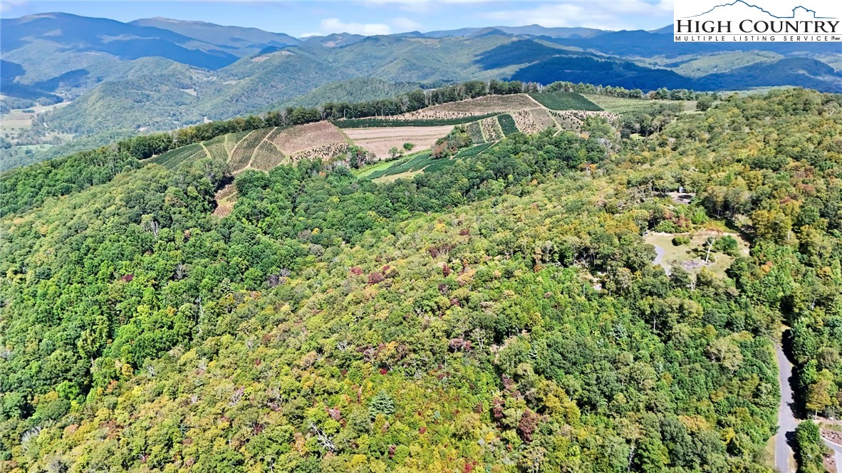 Lot 10 Mountain Laurel Parkway