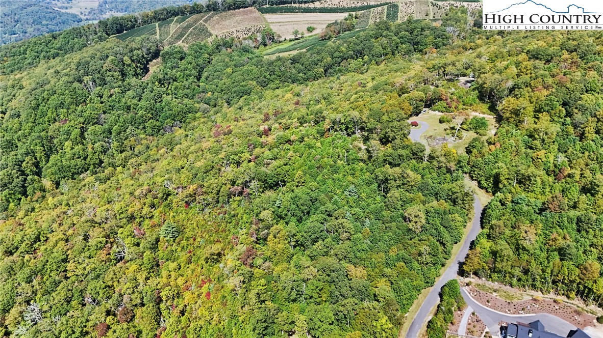 Lot 10 Mountain Laurel Parkway