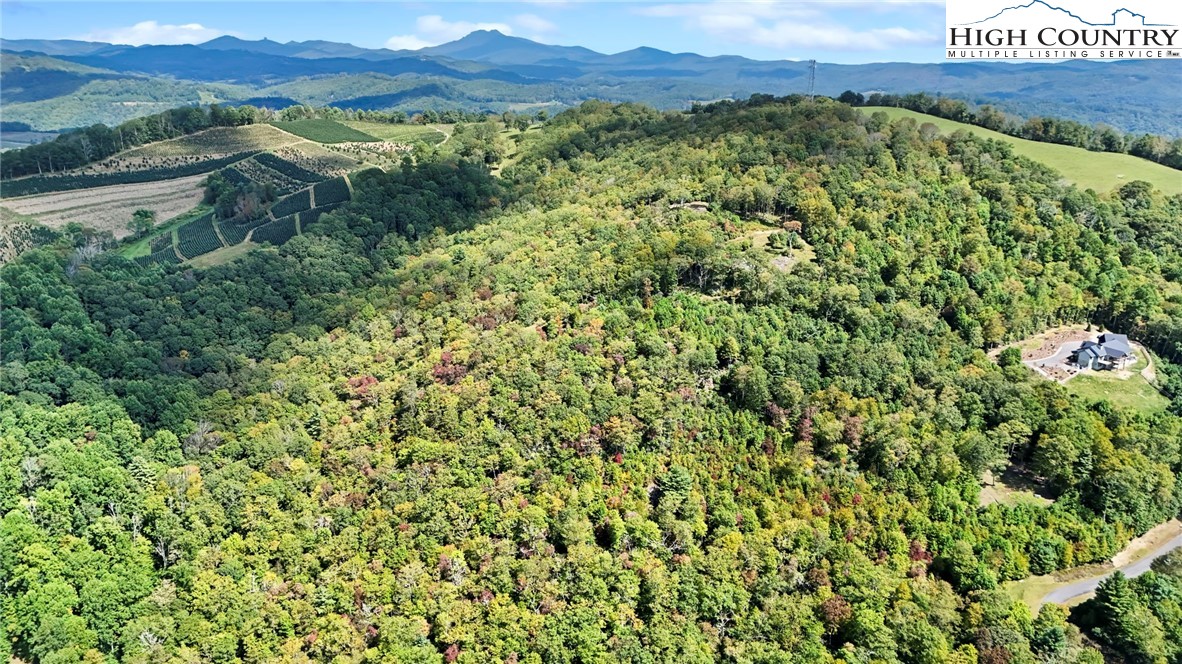Lot 10 Mountain Laurel Parkway