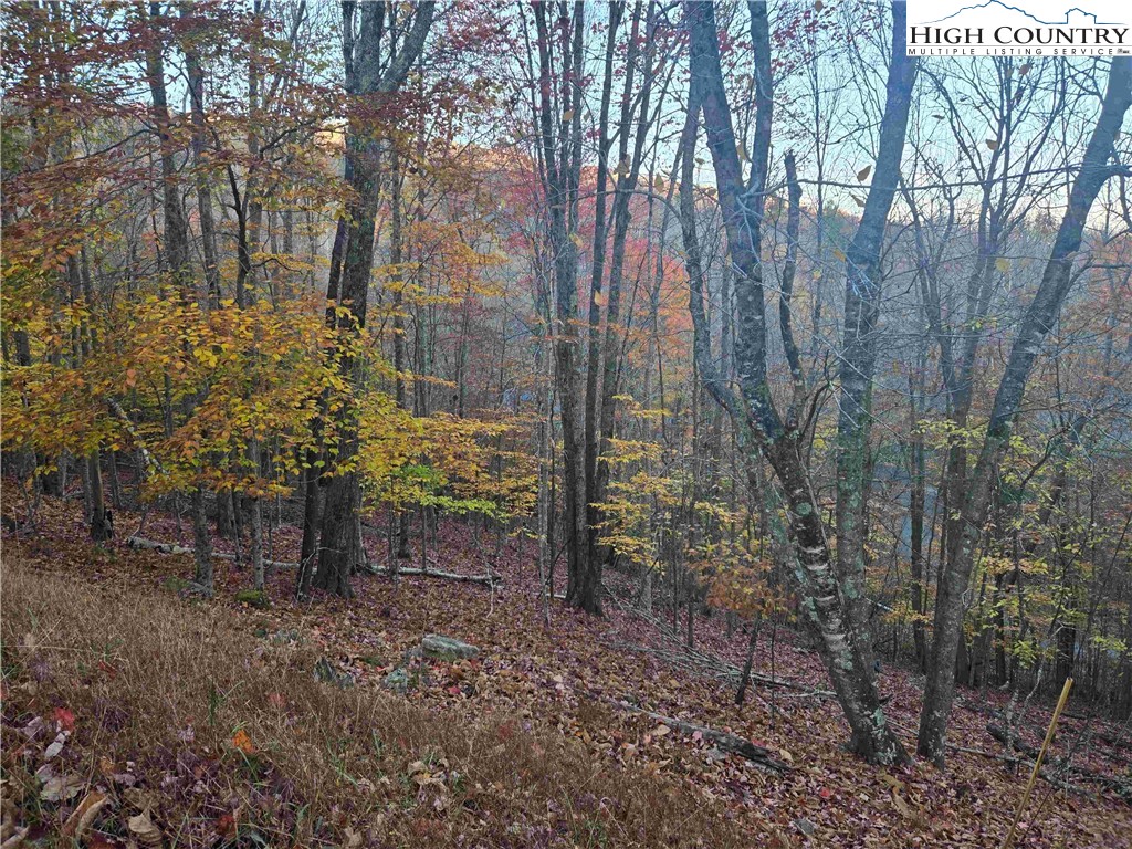 119 Shagbark Road