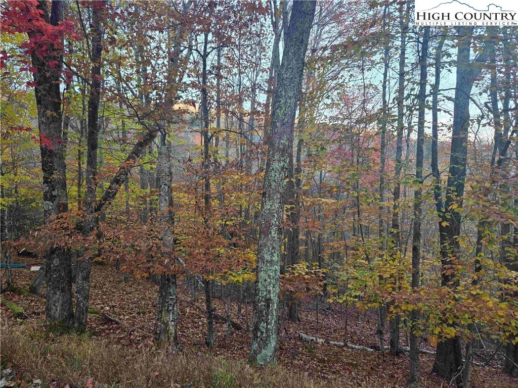 119 Shagbark Road