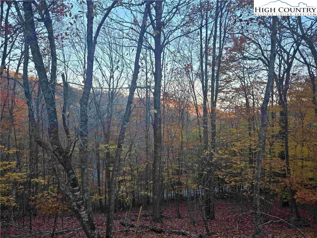 119 Shagbark Road