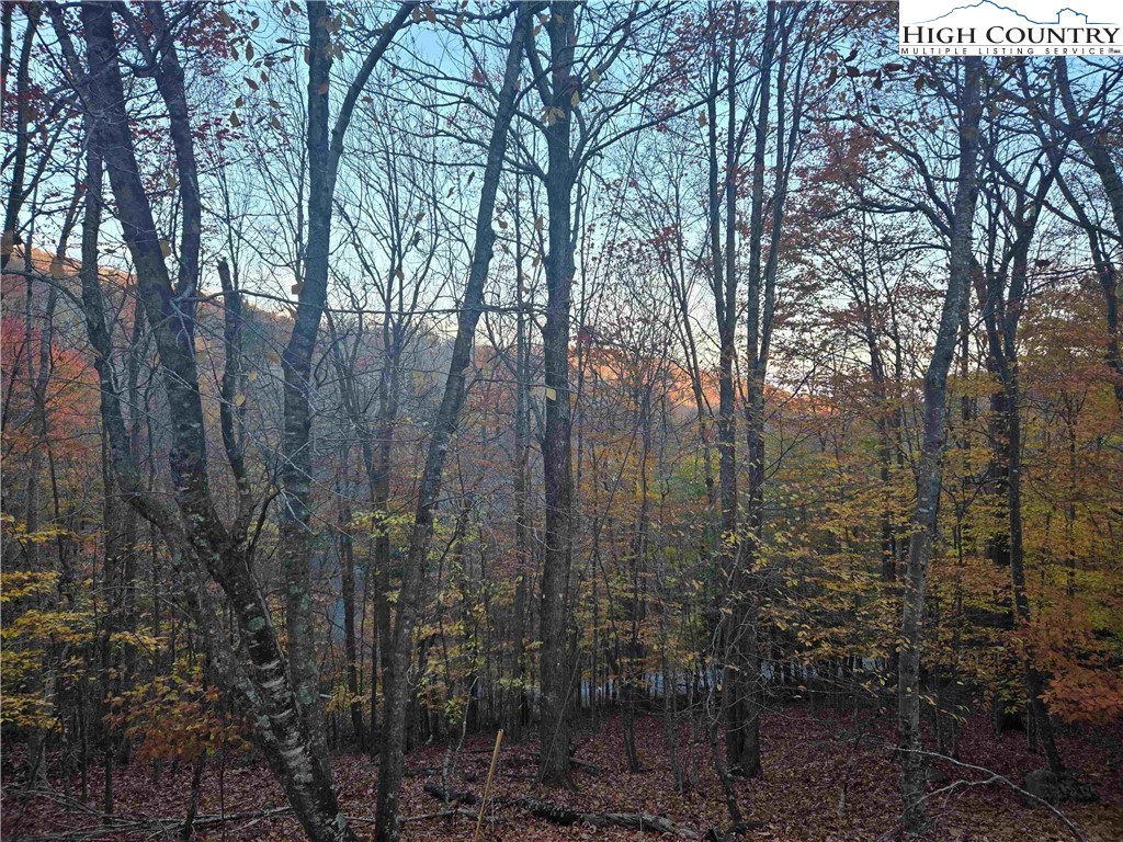 119 Shagbark Road