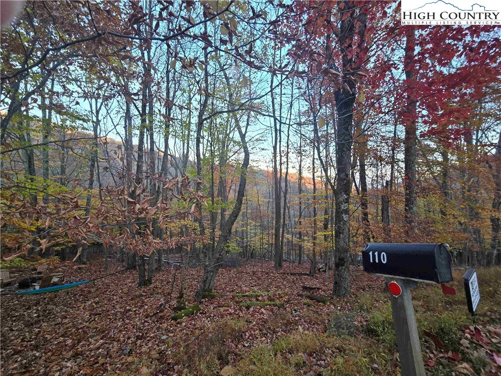 119 Shagbark Road