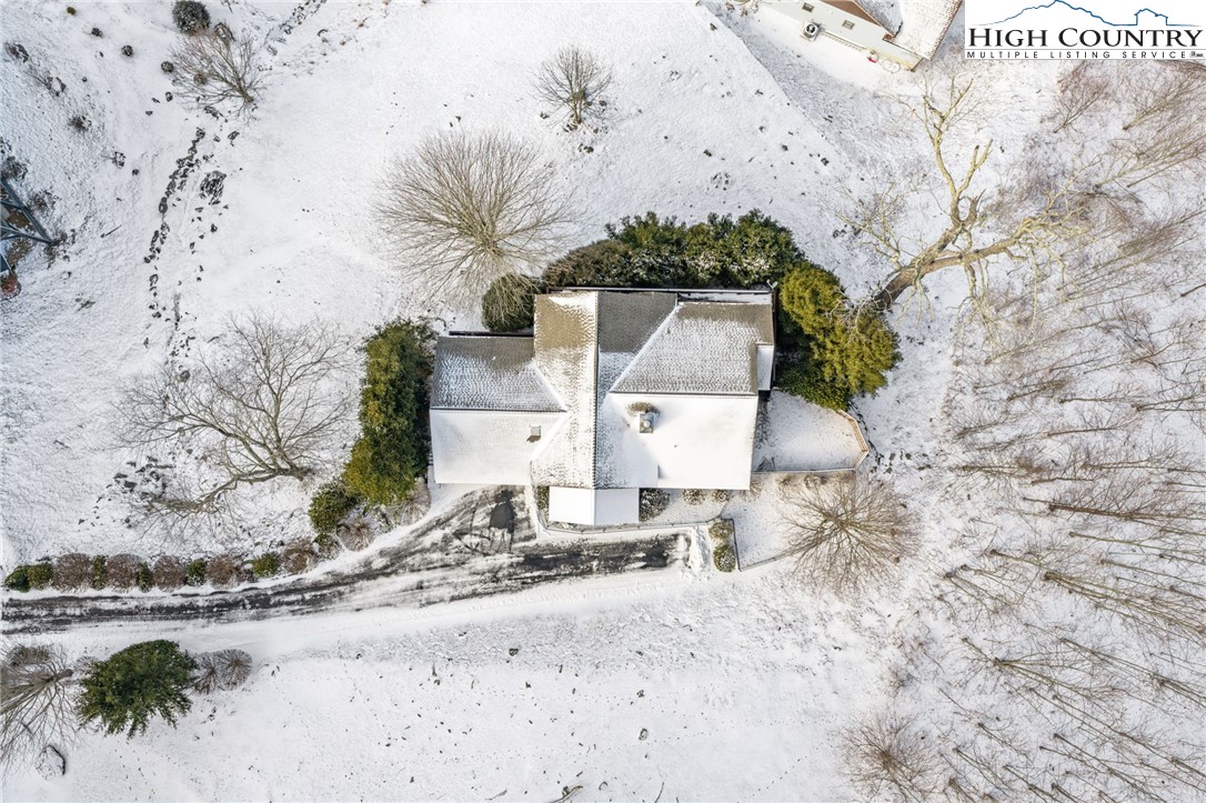 295 Supreme Golden Road