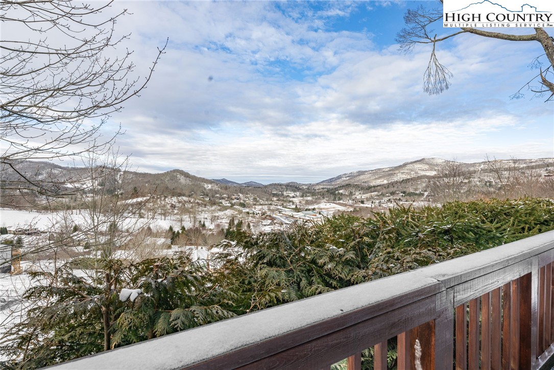 295 Supreme Golden Road