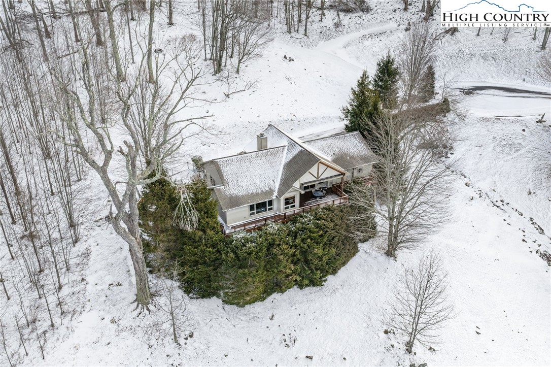 295 Supreme Golden Road