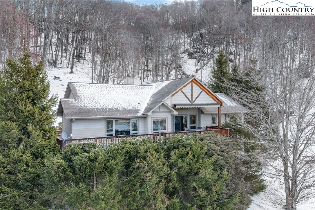 295 Supreme Golden Road
