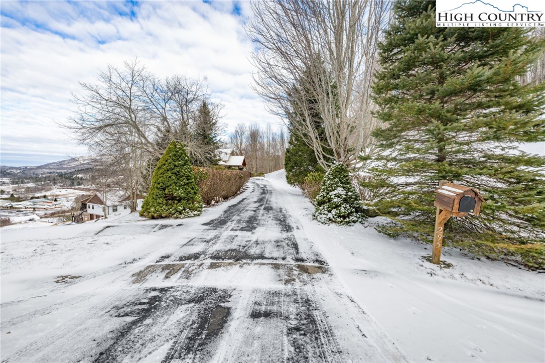 295 Supreme Golden Road