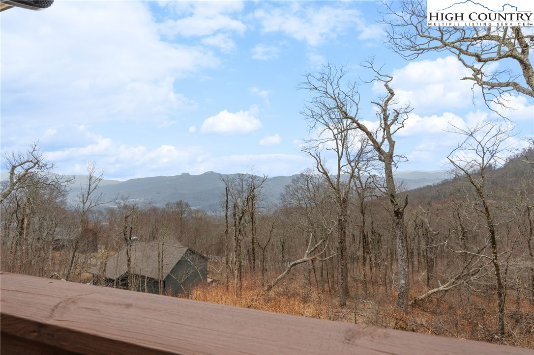 94 Silver Fox Ridge