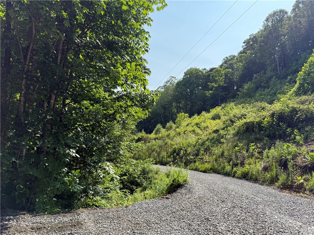 Lot 1 S Big Horse Creek Road
