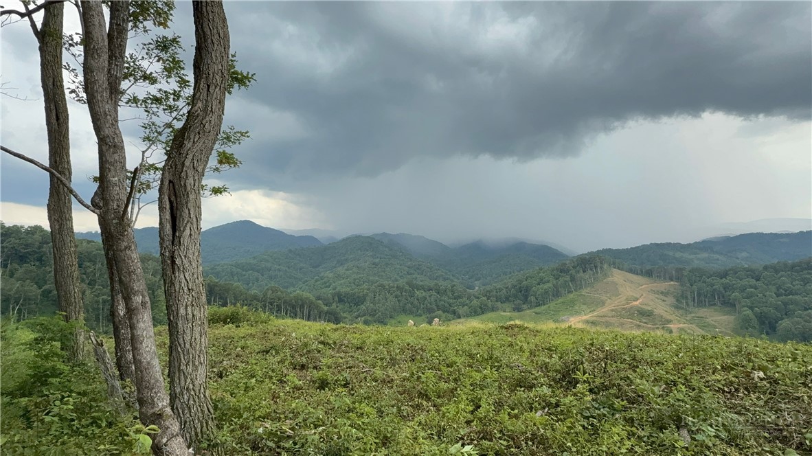 Lot 1 S Big Horse Creek Road