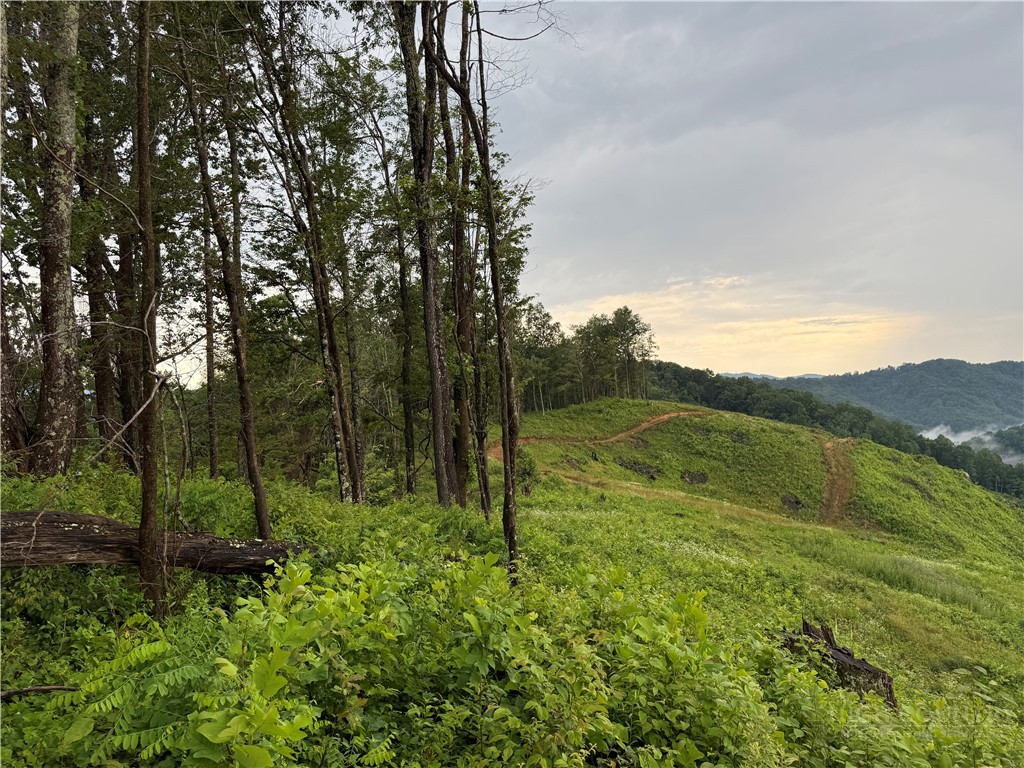 Lot 1 S Big Horse Creek Road