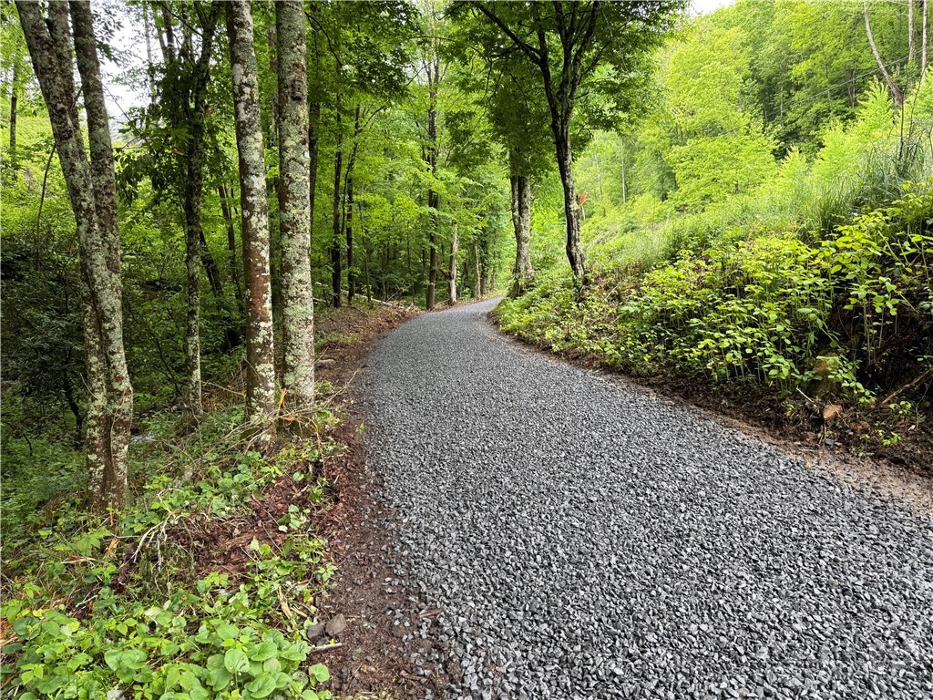 Lot 1 S Big Horse Creek Road