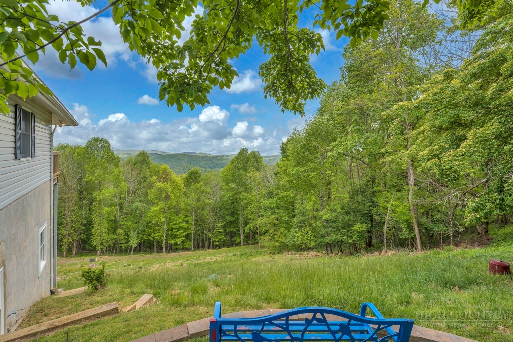 784 Alpine Drive