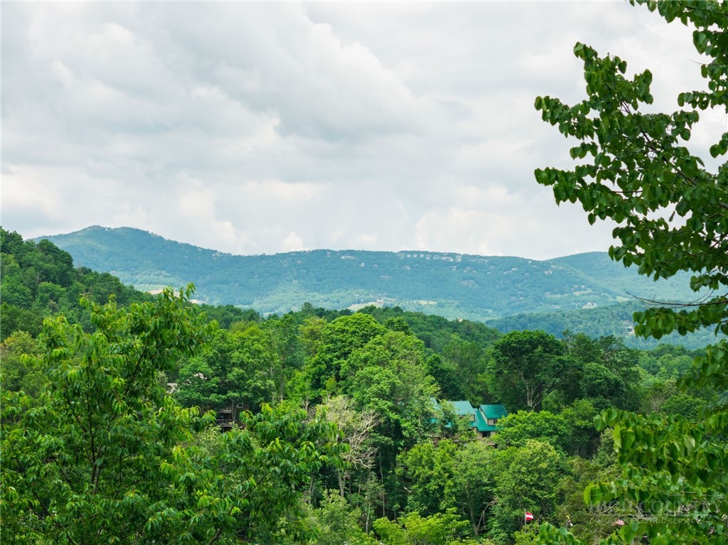 218 Slope View Road 22
