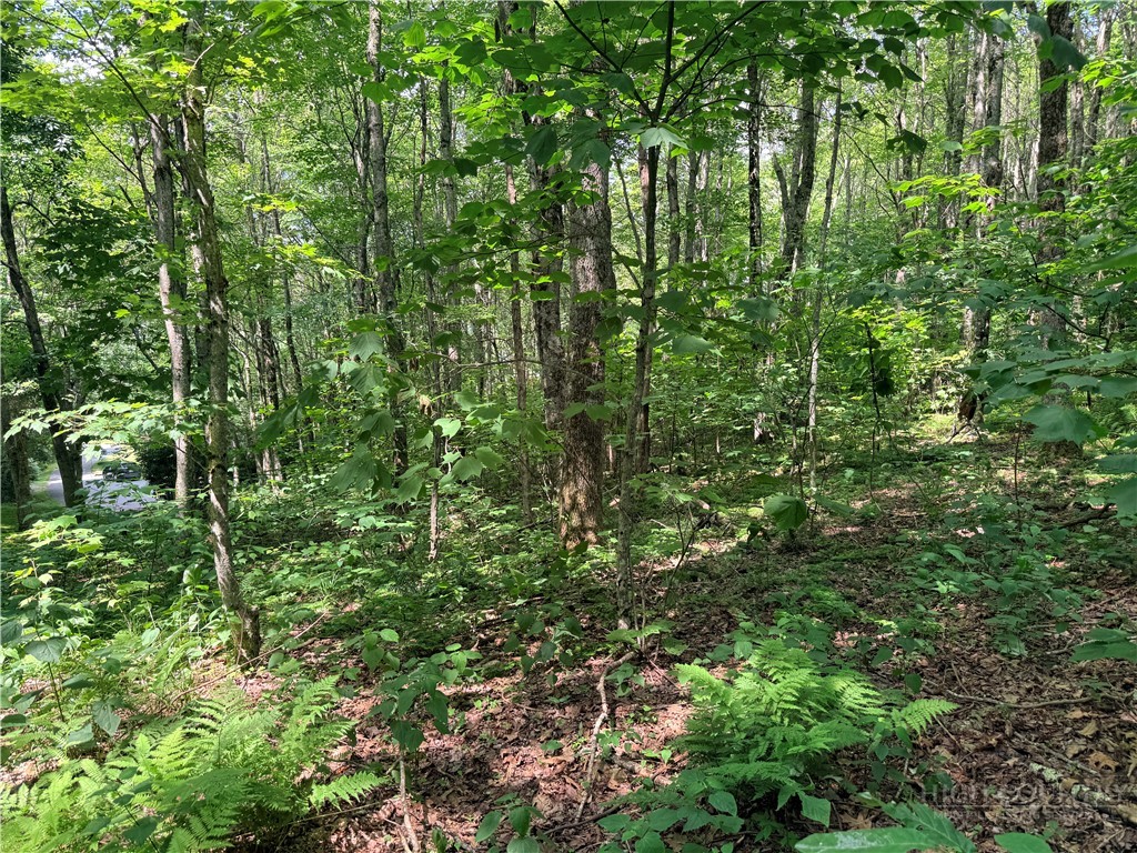 TBD Chestnut Mountain Road