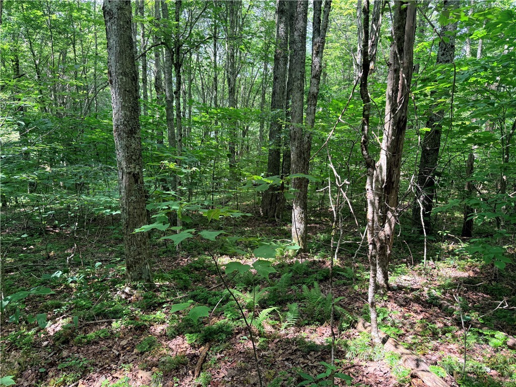 TBD Chestnut Mountain Road