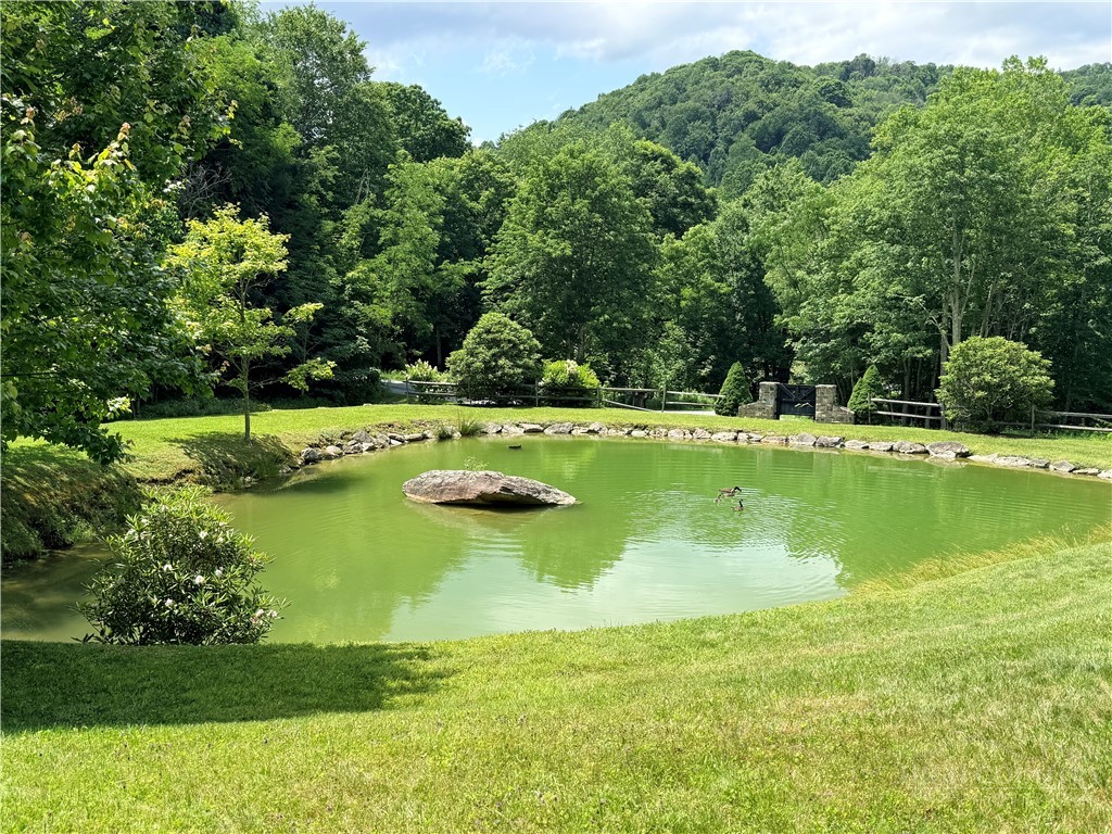 TBD Chestnut Mountain Road