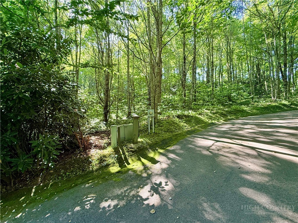 TBD Chestnut Mountain Road