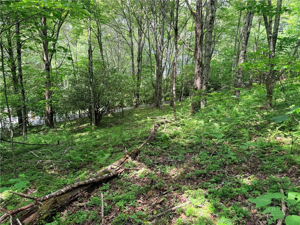 TBD Chestnut Mountain Road