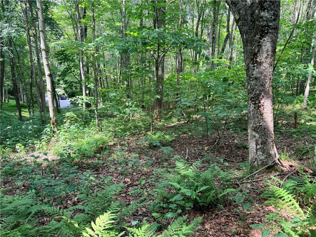 TBD Chestnut Mountain Road