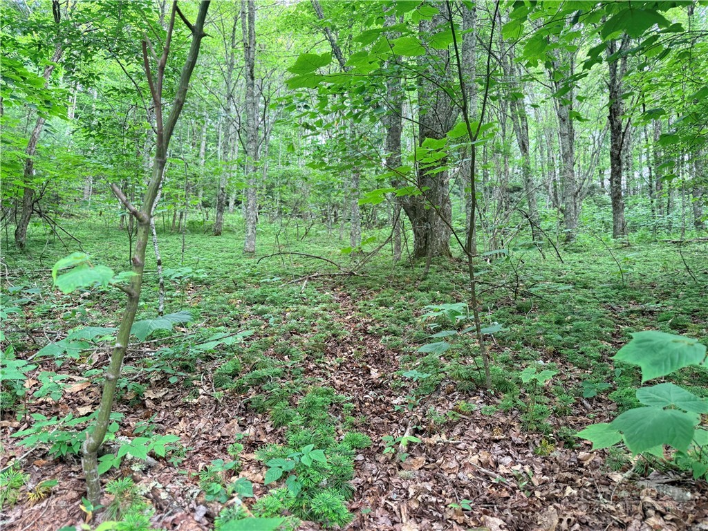 TBD Chestnut Mountain Road