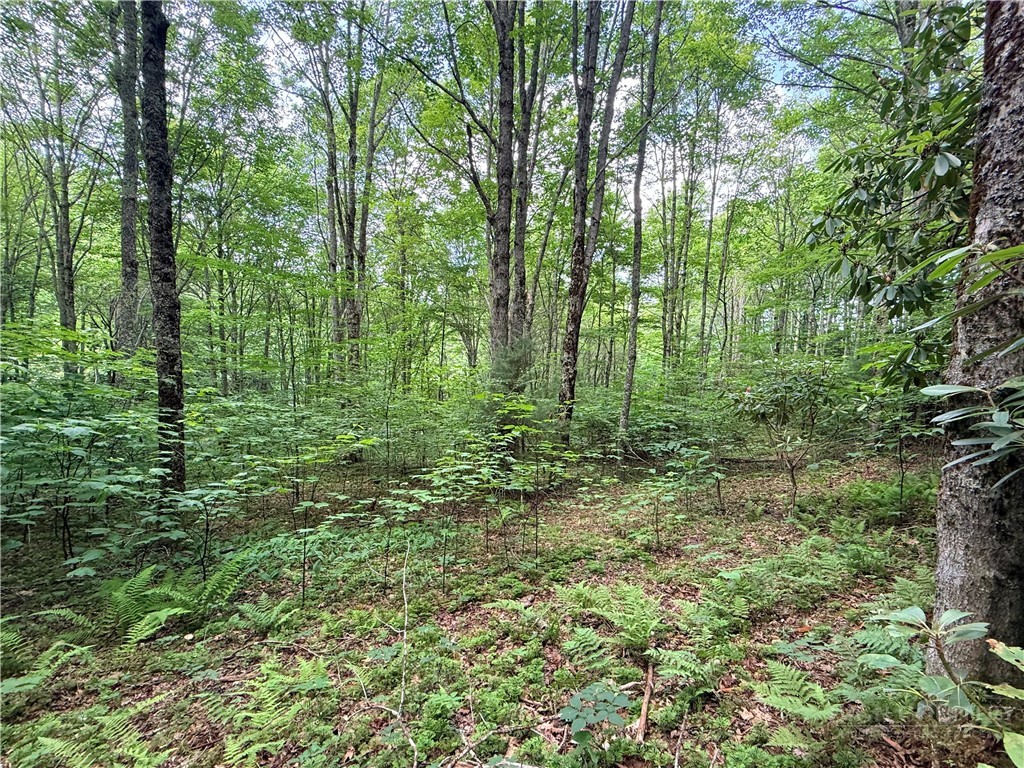 TBD Chestnut Mountain Road