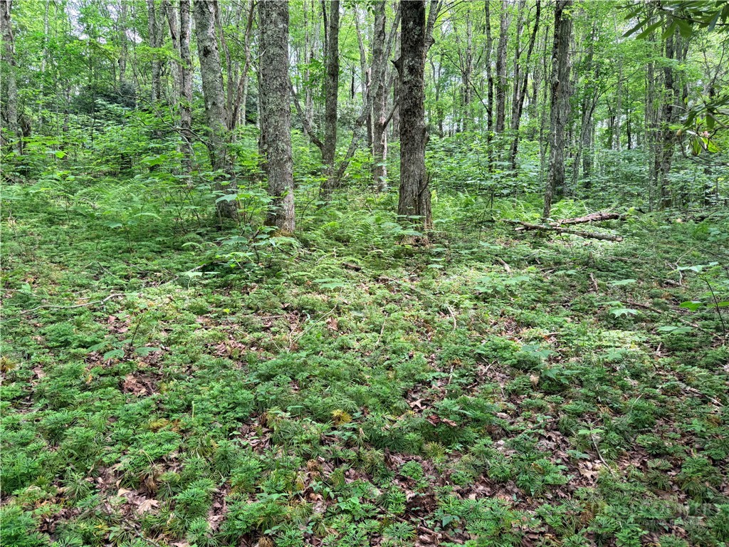TBD Chestnut Mountain Road