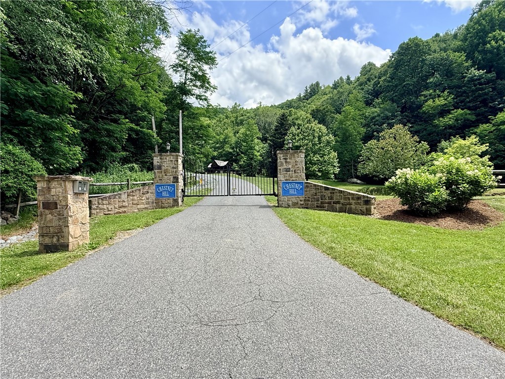 TBD Chestnut Mountain Road