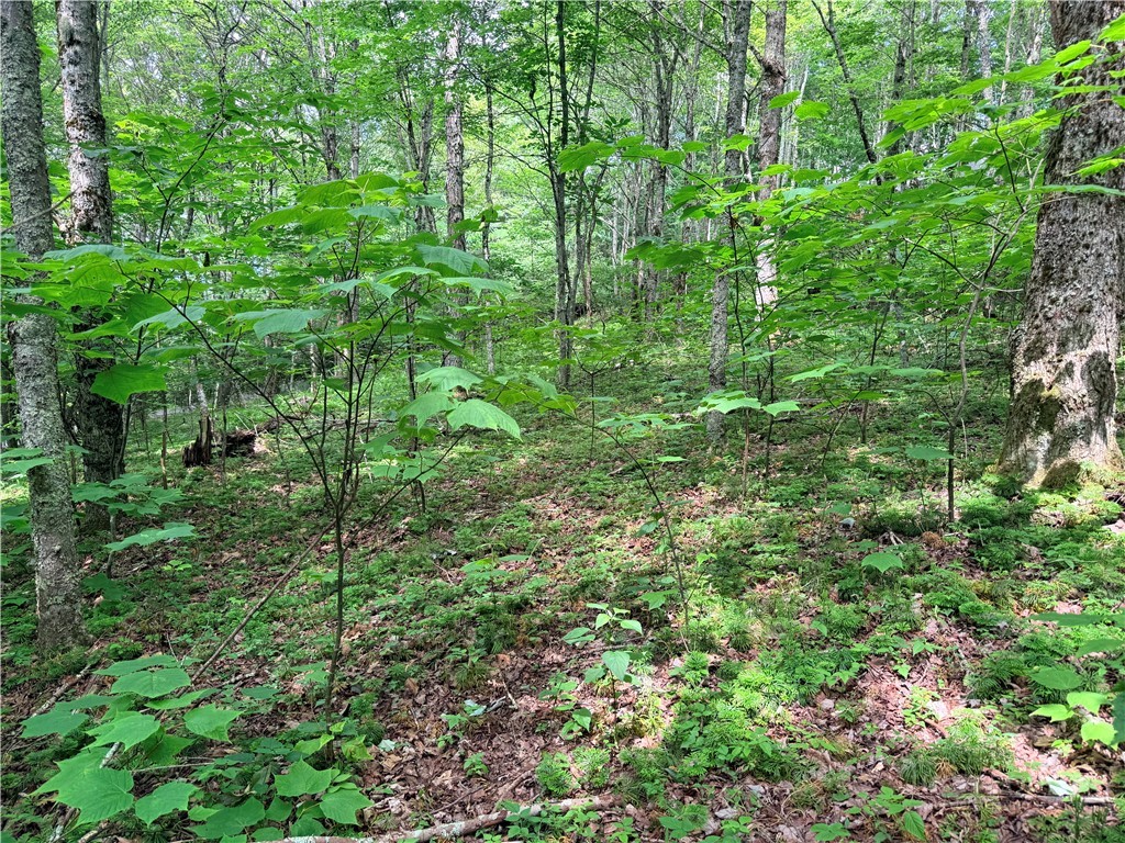 TBD Chestnut Mountain Road
