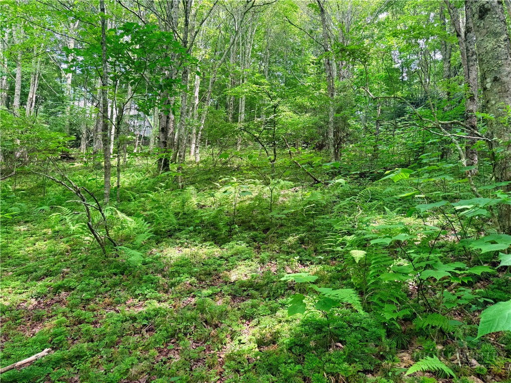 TBD Chestnut Mountain Road