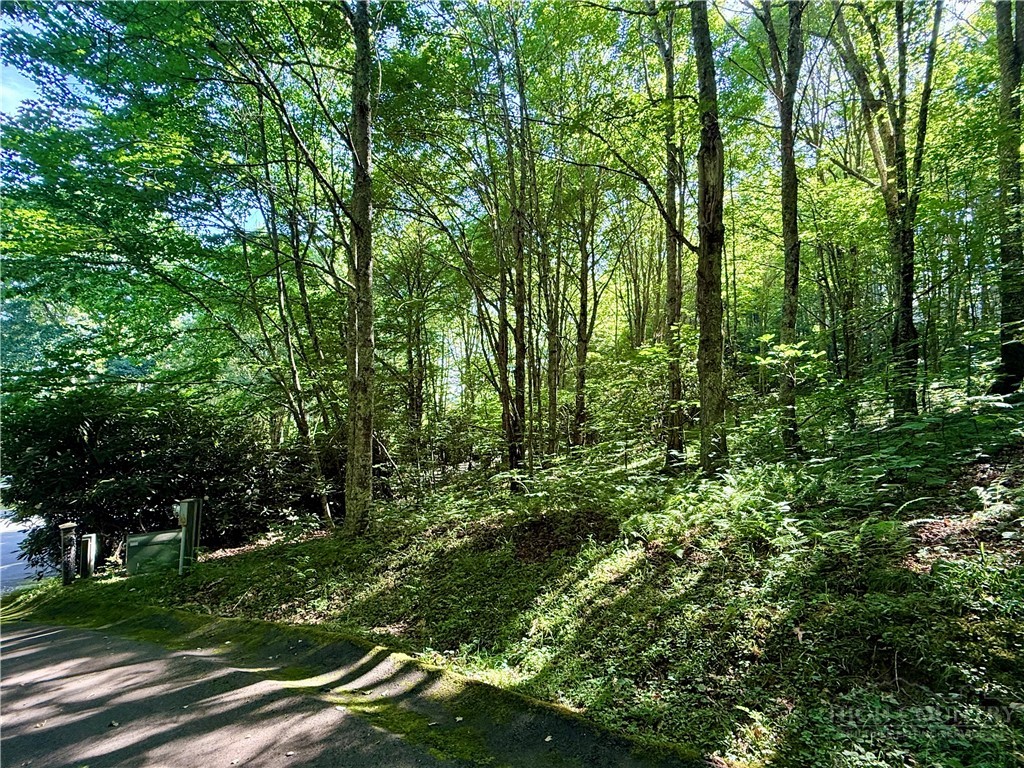 TBD Chestnut Mountain Road