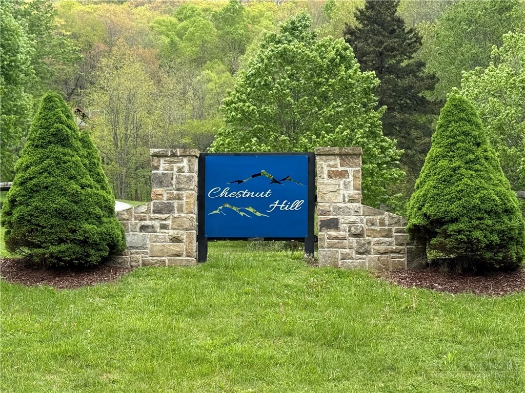TBD Chestnut Mountain Road