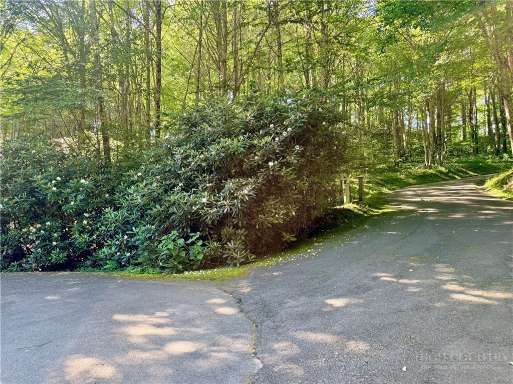 TBD Chestnut Mountain Road