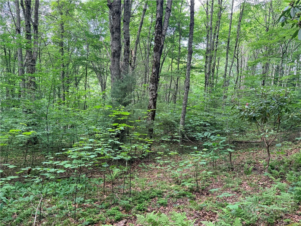 TBD Chestnut Mountain Road