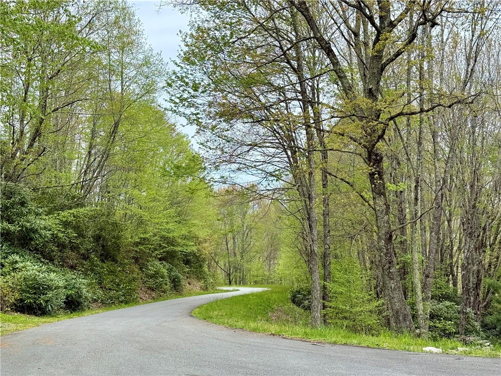 TBD Chestnut Mountain Road