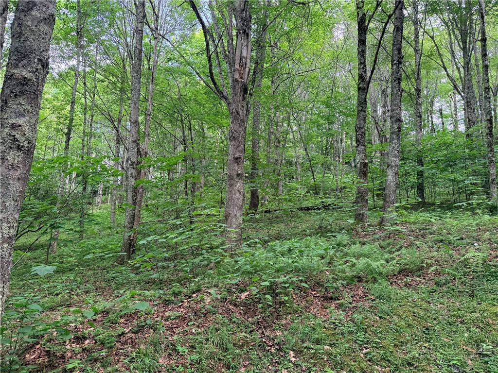 TBD Chestnut Mountain Road