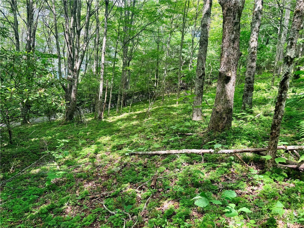 TBD Chestnut Mountain Road
