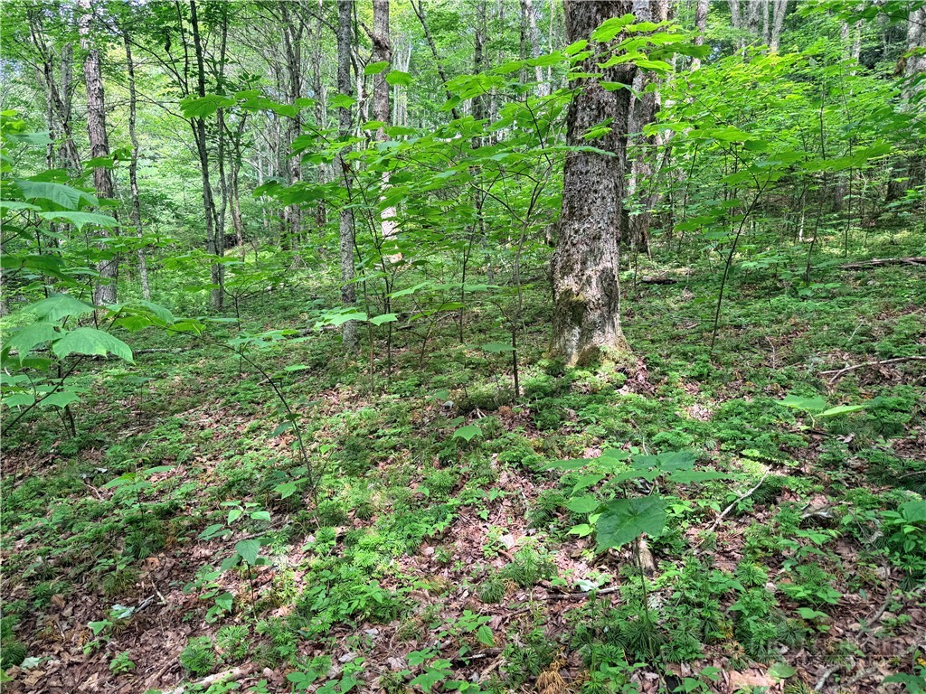TBD Chestnut Mountain Road