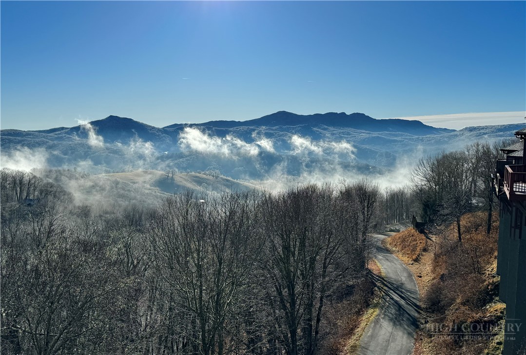 747 Whitetail Trail 2