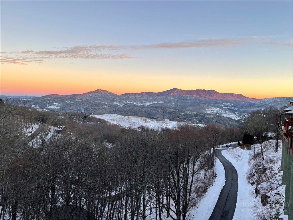 747 Whitetail Trail 2