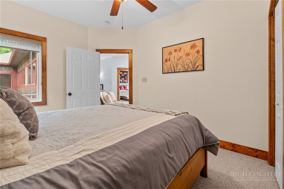 747 Whitetail Trail 2