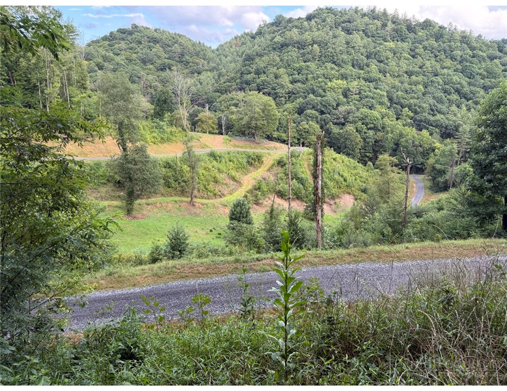 Lot 3 Horseshoe Trail