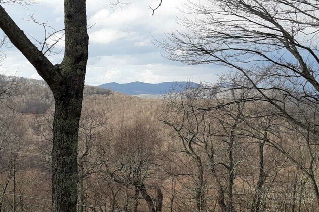2587 Junaluska Road