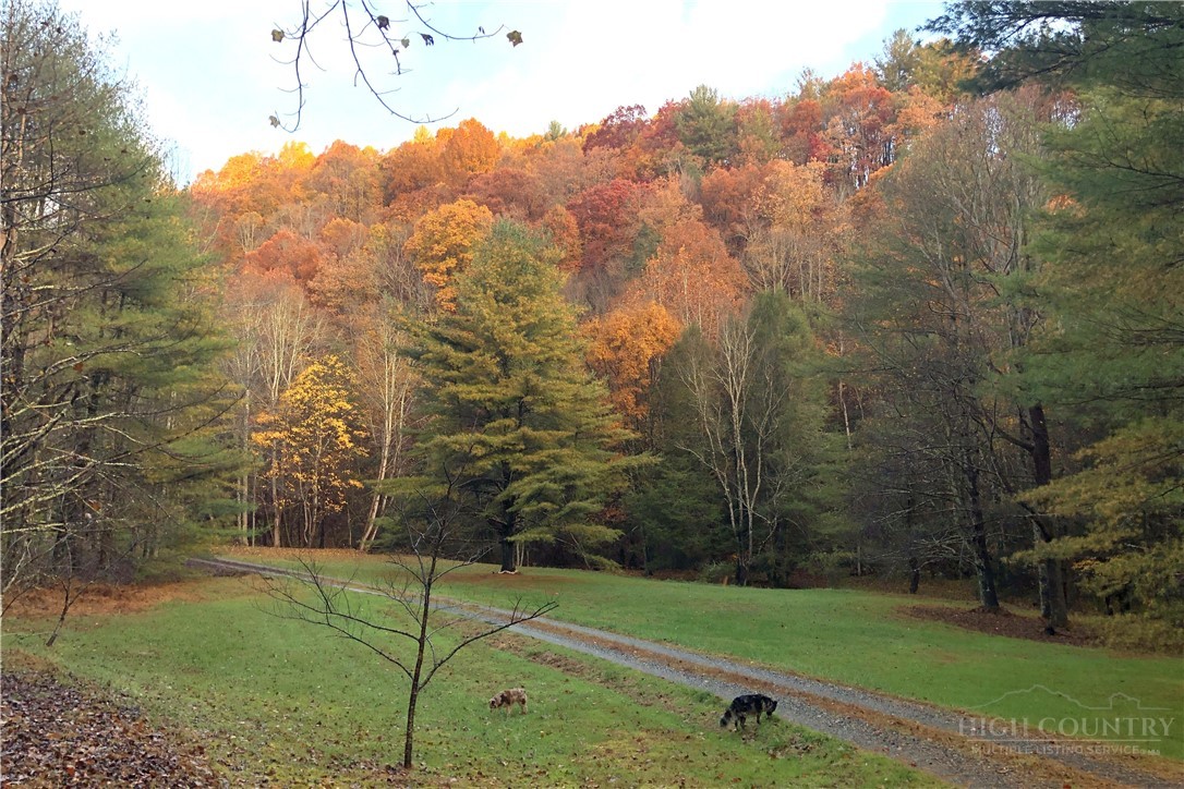 982 Jakes Mountain Road
