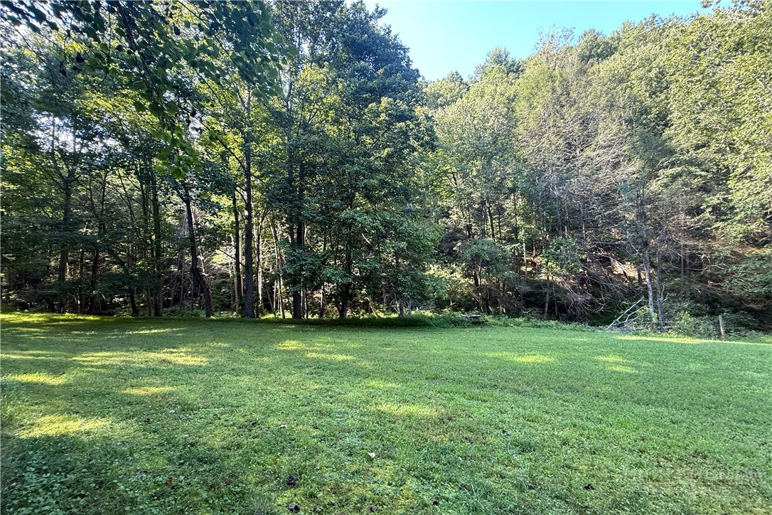 982 Jakes Mountain Road