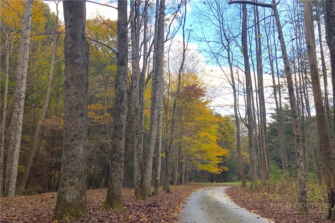 982 Jakes Mountain Road